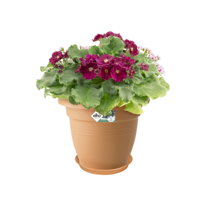 green basics untersetzer 41cm mild terra